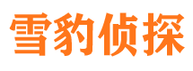 桂阳侦探公司